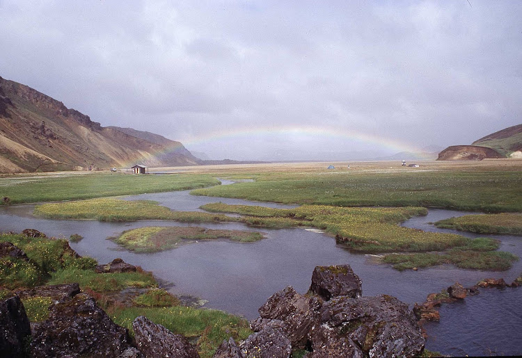A saltmarsh in Iceland.