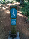 City Of Bellevue Trail System Marker