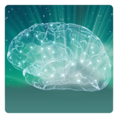 formation complète mémoire