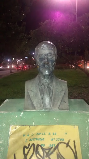 Busto Dr Roberval Emerson