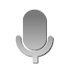 Voice Search Launcher