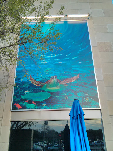 Sea Turtle Flying Mural