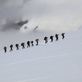 Day 2 - A group of climbers on their way to the top of Mt. Rainier. I nominate Martha Shaver Woods to post 5 favorite photos in 5 days. by Gabi Fulcher - Landscapes Mountains & Hills