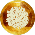 Free Rice icon