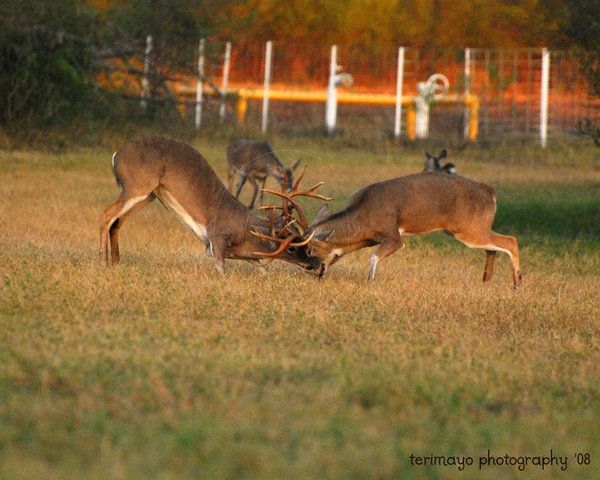 [DSC_0092---Copy_web(C)[8].jpg]