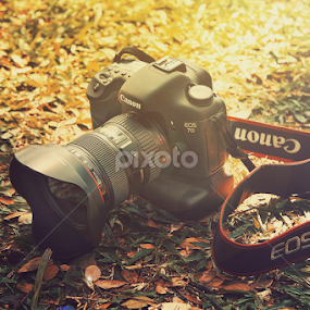 I'M CANON by Tony Kurniawan - Artistic Objects Other Objects