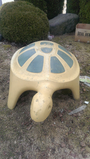 Turtle Statue of Children's Garden
