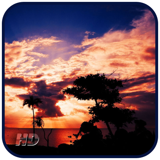 Sunset Palm Trees 攝影 App LOGO-APP開箱王