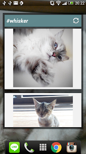 Free #whiskr APK for Android