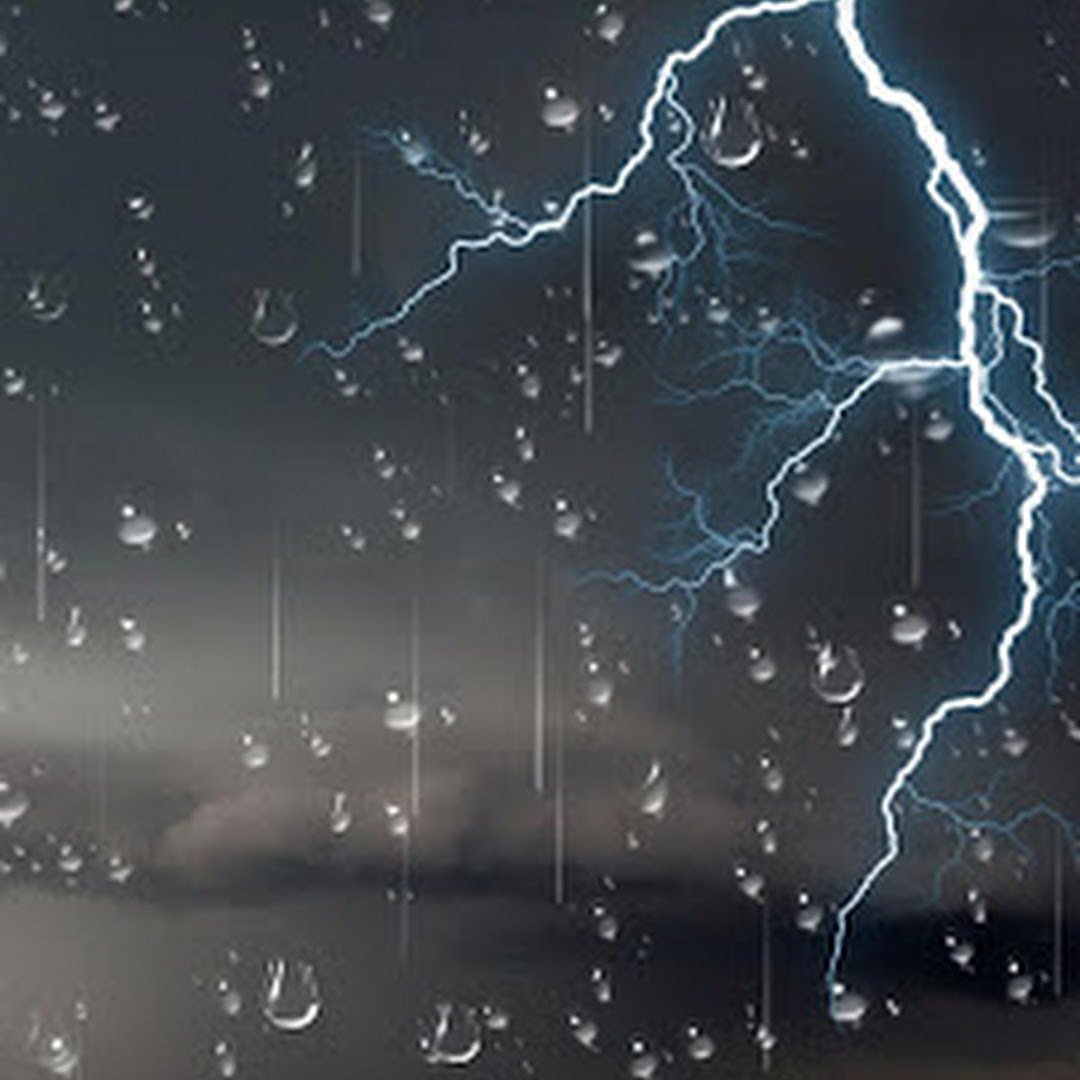 Download Android App Store Free