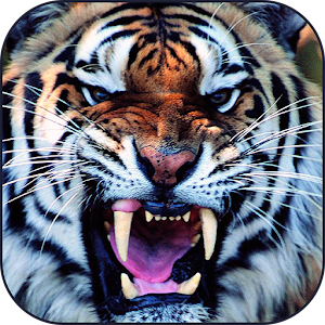 Power and Endurance Training.apk 1.0.2