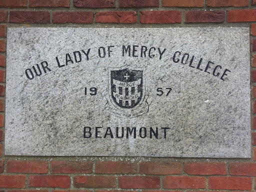 Our Lady of Mercy College