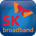 iDVRVue_SK logo