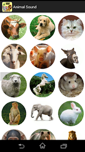 How to install Animal Sound 1.0 apk for pc