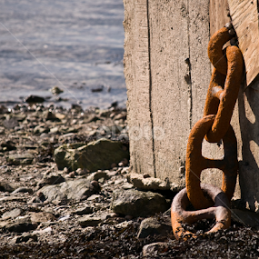 Rusty Chain by Kelly Goode - Artistic Objects Other Objects