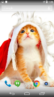 Funny Christmas Cat Wallpaper Screenshots 1