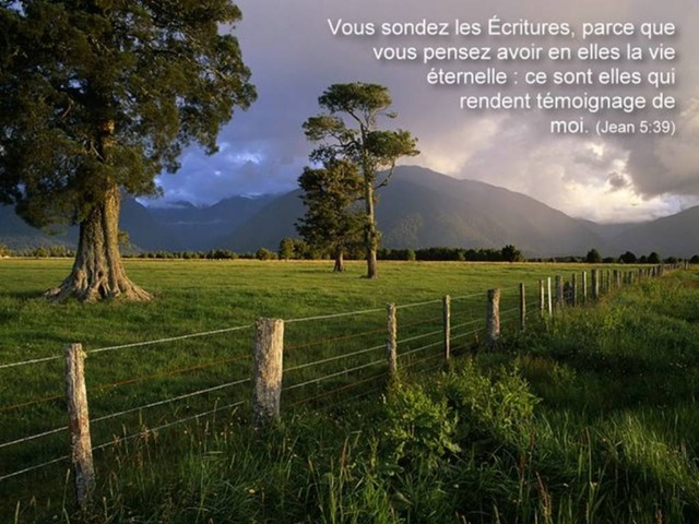 [Jn005039_Pensee_SemaineG640x4802.jpg]