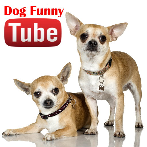 Dogs Funny Videos LOGO-APP點子