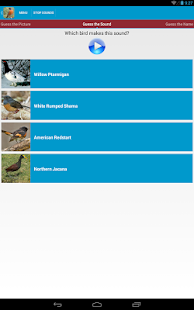 North American Birds Sounds Screenshots 4