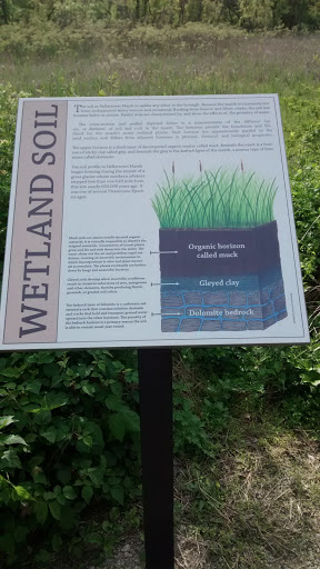 Wetland Soil