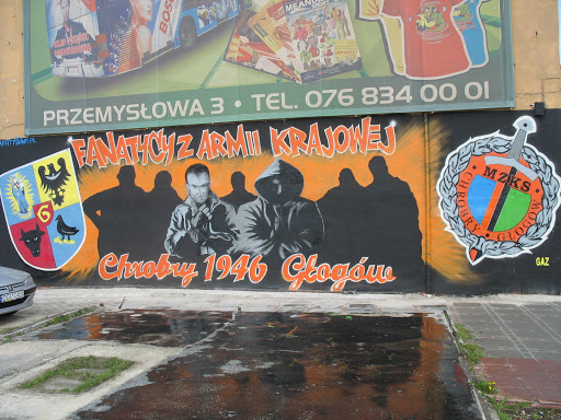 Mural Chrobrego Głogów