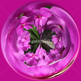 Pretty in Pink by Colleen Legree - Abstract Fine Art