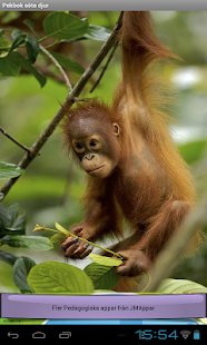 Pekbok Söta Djur Screenshots 8