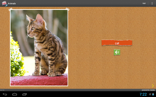 Download English for Kids ads-free APK