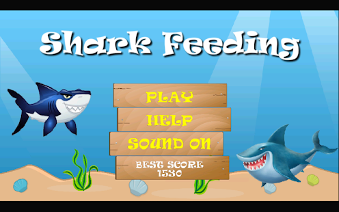 Shark Feeding 2