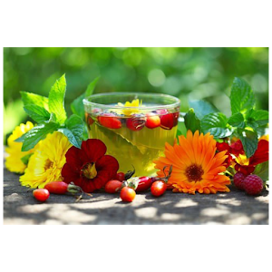 Народная медицина.apk 1.0