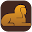 MisriTalk Download on Windows
