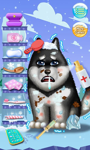 Winter Snow - Pet Doctor