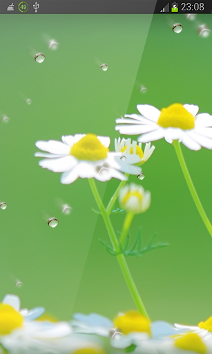 Spring Flowers Live Wallpaper