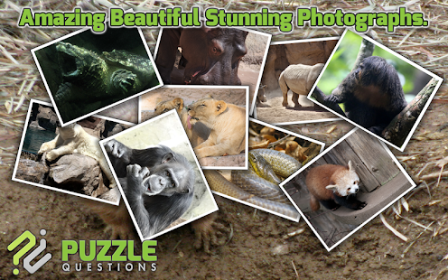 Free Download Zoo Puzzles APK for Android