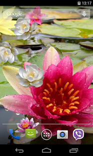 How to install Lily on Water Live Wallpaper lastet apk for laptop