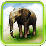 Cover Image of Download REAL ANIMALS HD 1.2.8 APK