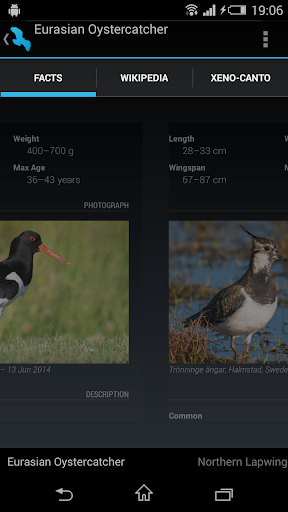 【免費書籍App】Free Guide: Nordic Birds-APP點子