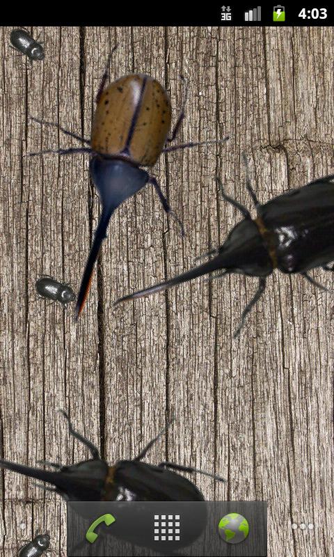 Rhinoceros beetle Wallpaper Screen 3