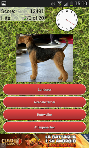 免費下載益智APP|Dog Breeds Quiz app開箱文|APP開箱王