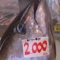 沖縄釣魚図鑑 logo