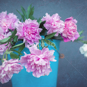 Just pink by Cristina Garganciuc - Flowers Flower Arangements
