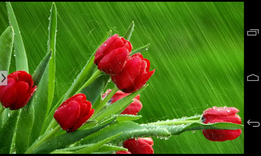 How to get Beautiful Flowers Wallpapers lastet apk for laptop