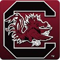 South Carolina Clock Widget logo