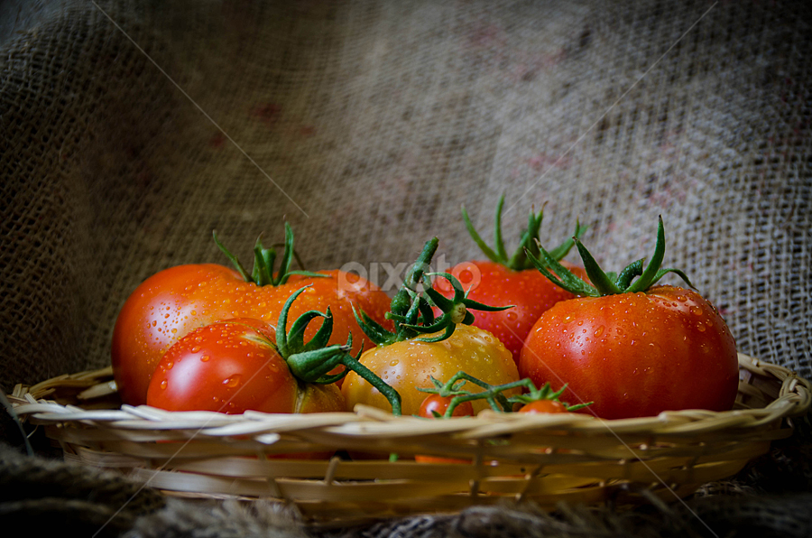 Tomatoes by Fitria Ramli - Artistic Objects Still Life