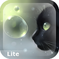 Curious Cat Lite Apk