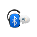 BT Reader (Deutsch) logo
