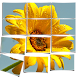 Poster Slice