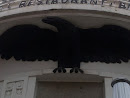 Der Schwarze Adler