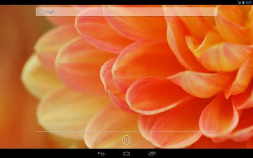 免費下載個人化APP|Macro Flowers Live Wallpaper app開箱文|APP開箱王