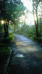 Test LVL Application poster 1